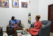 South Africa’s New Envoy Pledges Country’s Support to Sierra Leone South Africa's New Envoy Pledges Country's Support to Sierra Leone