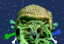 The Hunting Book of Thampèreh’s Paint Collector and the Angal-Heyrsa virus Thampereh Virus