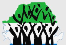 Presidential Praise Singers? Leadership Is Not Rocket Science! Presidential Praise Singers