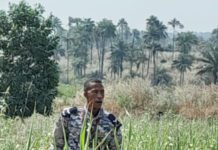 AIG Patrick Johnson May Face Contempt of Court Charges Police Constable