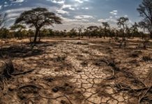 SLPP's Environmental Management Promises -Climate Change